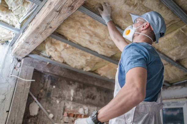 Best Insulation Maintenance and Repair in Sappington, MO